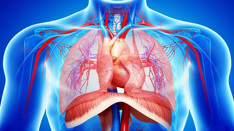 دلیل اهمیت تنفس دیافراگمی